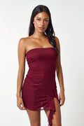 Maroon Tube Mesh Ruffle Mini
