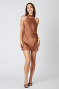 Brown Satin High Neck Bow Back