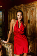 Red High Cowl Neck Mini