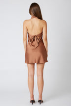 Brown Satin High Neck Bow Back